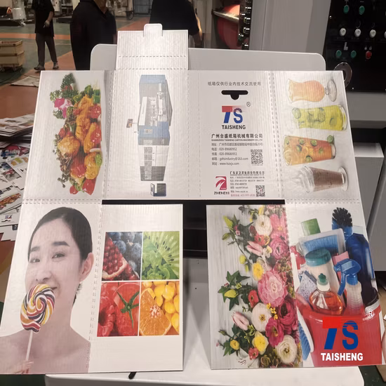 Cartonnage adapté aux besoins du client entièrement automatique faisant la découpeuse rotatoire d'impression de Flexo de rainurage avec du CE