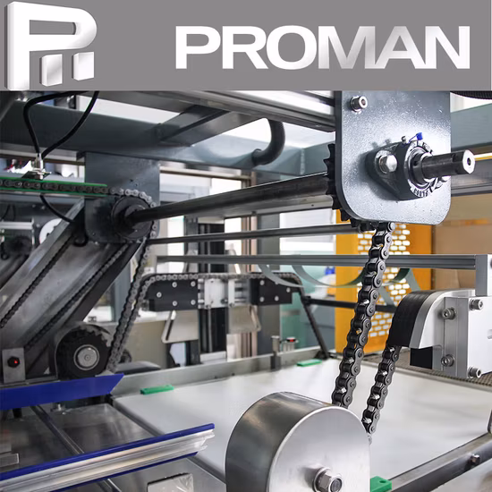 Machine de fabrication de film étirable à double couche en plastique PE de 1000 mm Hengtuo Machinery